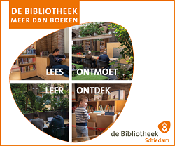 20210537 Banners Schiedammer Online - 250 X 2083
